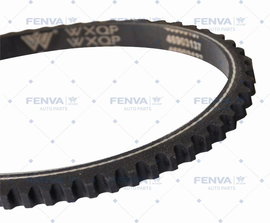 WXQP 111355 - Banded V-Belts autospares.lv