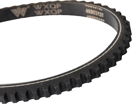 WXQP 110175 - V-Belt autospares.lv