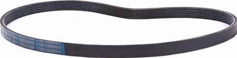 WXQP 11753 - V-Ribbed Belt autospares.lv