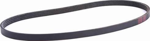 WXQP 11761 - V-Ribbed Belt autospares.lv