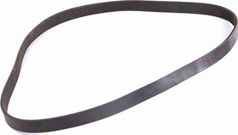 WXQP 11768 - V-Ribbed Belt autospares.lv