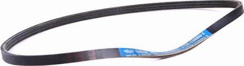 WXQP 11783 - V-Ribbed Belt autospares.lv