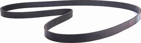 WXQP 11774 - V-Ribbed Belt autospares.lv