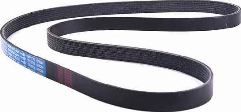 WXQP 11771 - V-Ribbed Belt autospares.lv