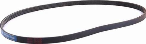 WXQP 11772 - V-Ribbed Belt autospares.lv