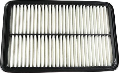 WXQP 12401 - Air Filter, engine autospares.lv