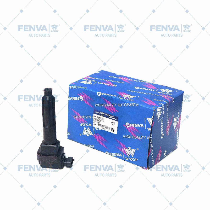 WXQP 121223 - Ignition Coil autospares.lv