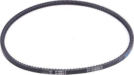 WXQP 314017 - V-Belt autospares.lv