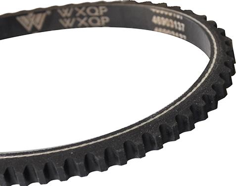 WXQP 310217 - V-Belt autospares.lv