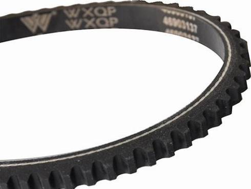 WXQP 310231 - V-Belt autospares.lv