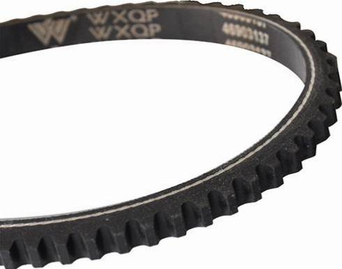 WXQP 310233 - V-Belt autospares.lv