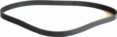 WXQP 310731 - V-Ribbed Belt autospares.lv