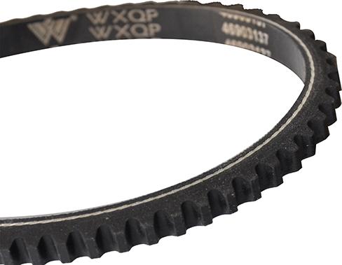 WXQP 311445 - V-Belt autospares.lv