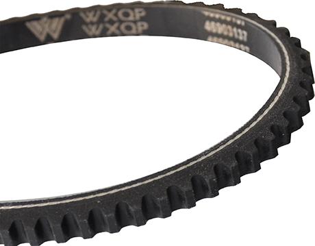 WXQP 311647 - V-Belt autospares.lv