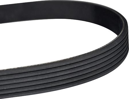 WXQP 311629 - V-Ribbed Belt autospares.lv