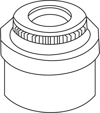 WXQP 313109 - Seal Ring, valve stem autospares.lv