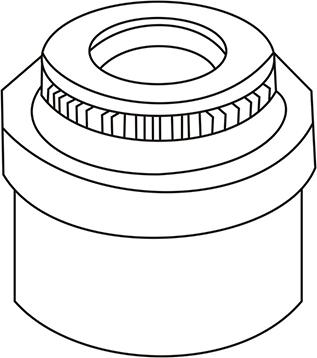 WXQP 313107 - Seal Ring, valve stem autospares.lv