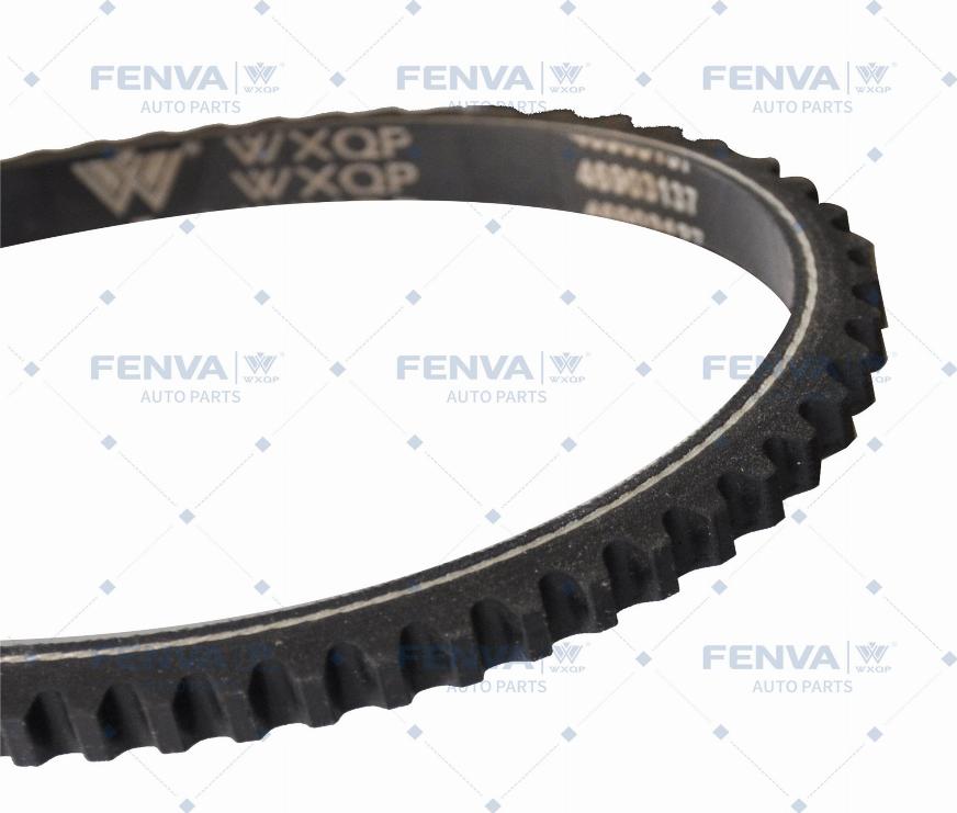 WXQP 313179 - V-Belt autospares.lv