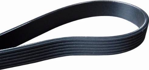 WXQP 211055 - V-Ribbed Belt autospares.lv