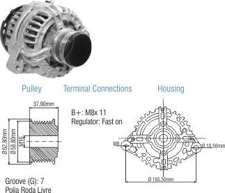 ZM ZM 90.108.11 - Alternator autospares.lv