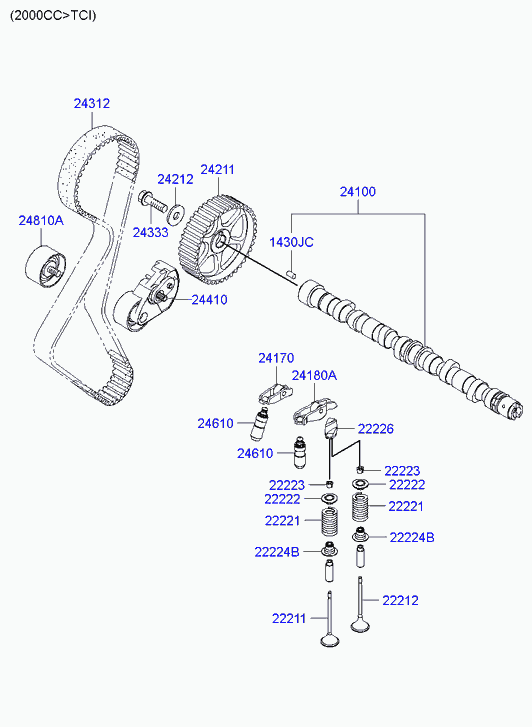 Buessing 24312-26001 - Camshaft & valve: 1 pcs. autospares.lv