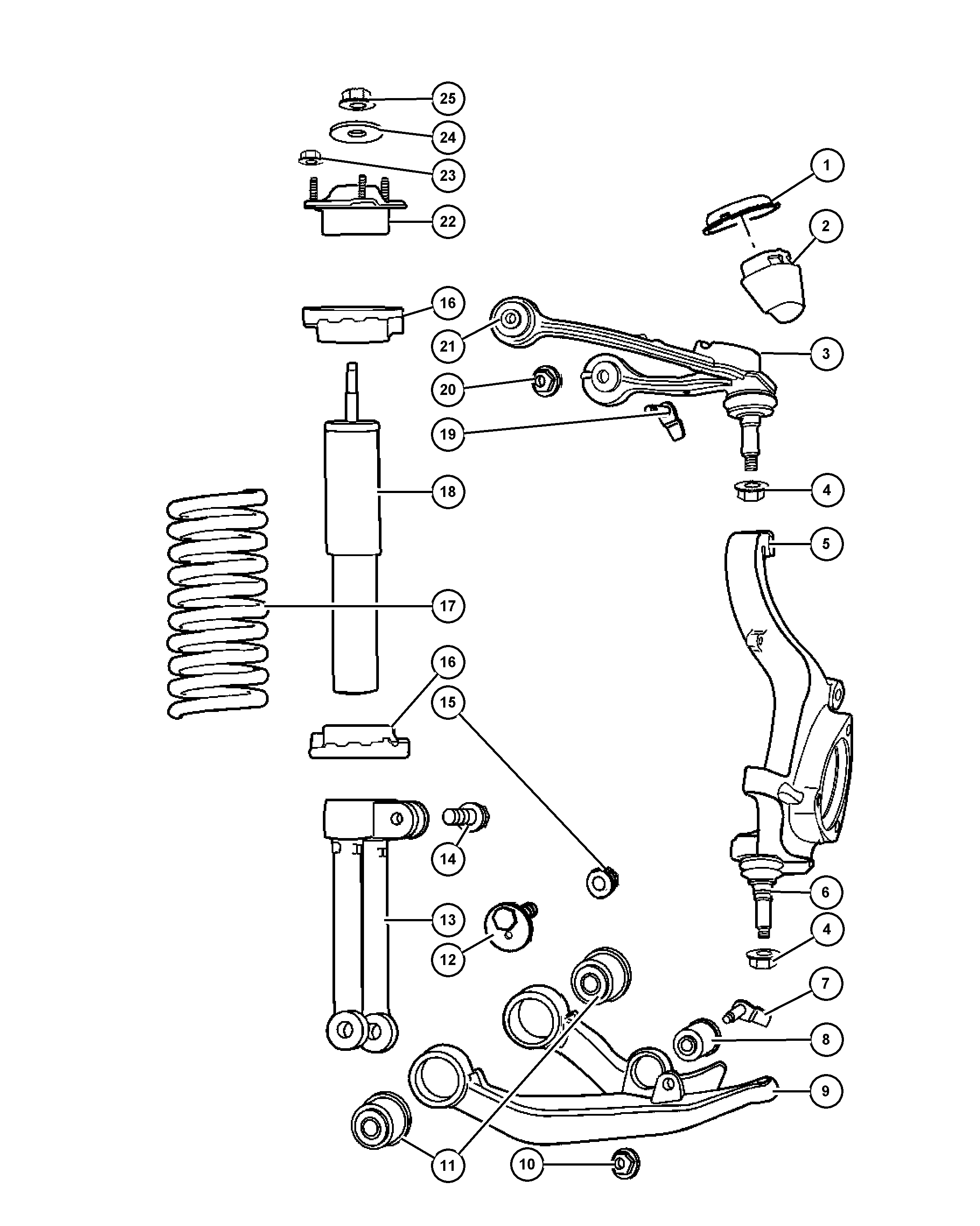 Dodge 52088 636AF - Suspension, front and strut: 1 pcs. autospares.lv